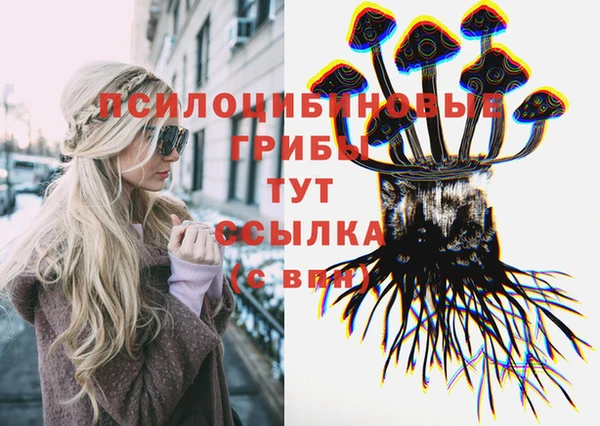соль курить ск Ладушкин