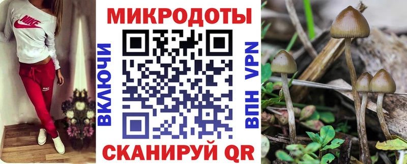 Купить где  Липки  Галлюциногенные грибы GOLDEN TEACHER 